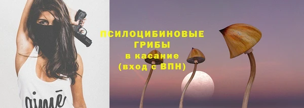 экстази Переславль-Залесский