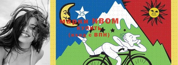 тгк Пересвет